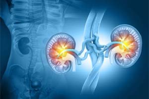 Department of Physiology